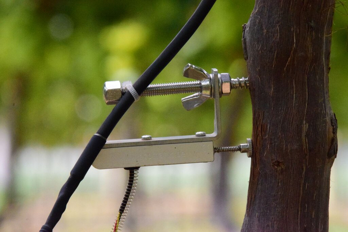 Датчик измеряет малейшие движения дерева и растения