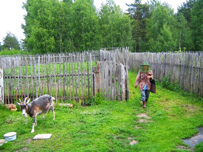 � ��������