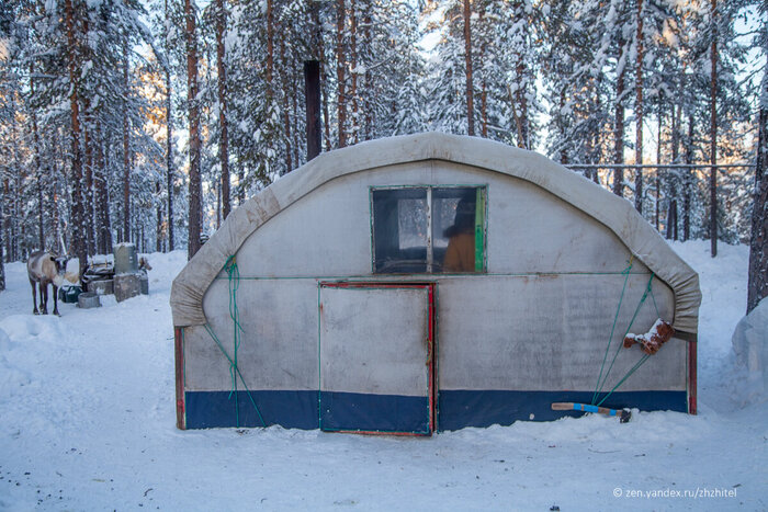 Палатка оленеводов. Дверь — примерно в половину человеческого роста.