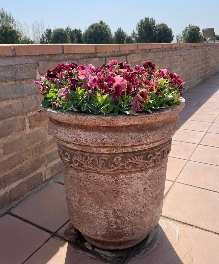 Всем спасибо за внимание!