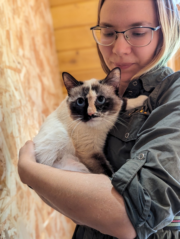  .  ,              ,  .           