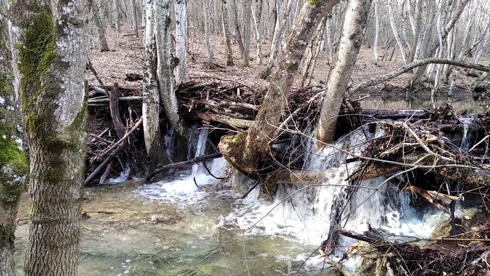 07.02.2024 �������� �����