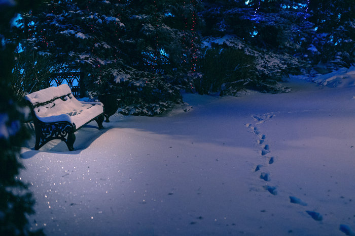 Сквер в Кремле