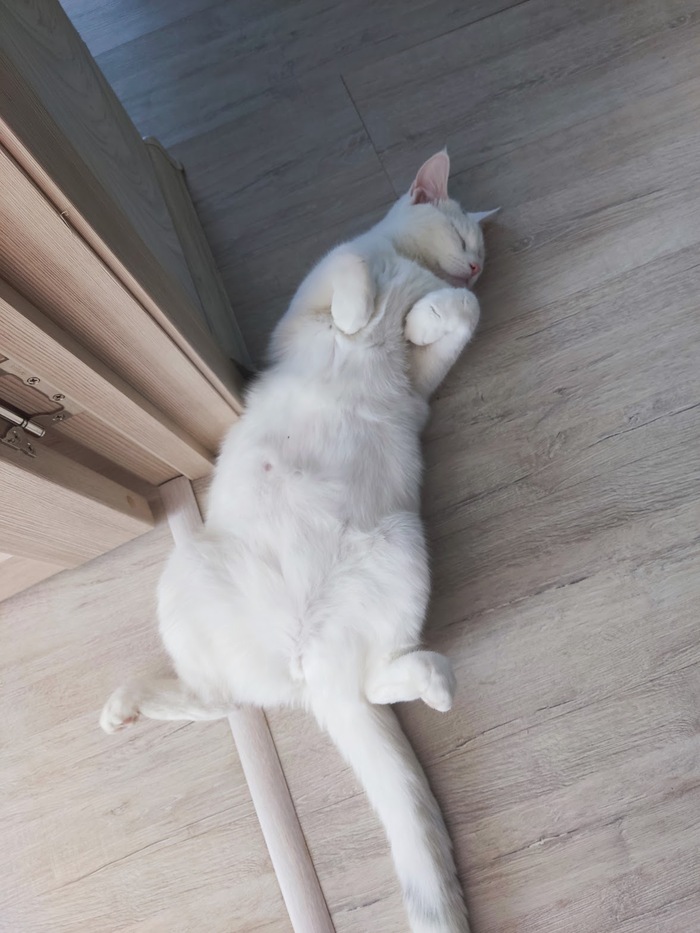 ���� ������)))