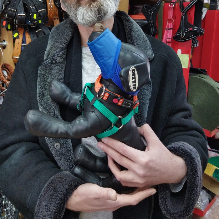 БДСМ сабако