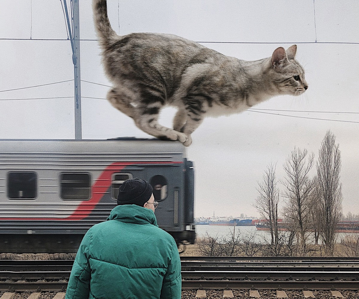 ������� ����