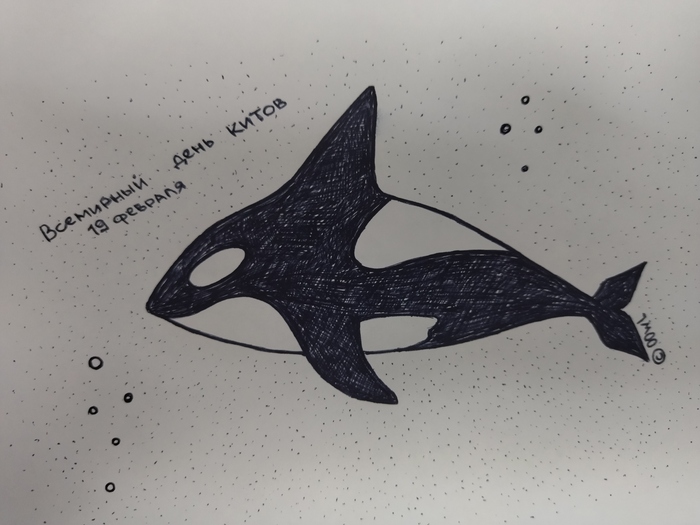 � ����������, ��������)