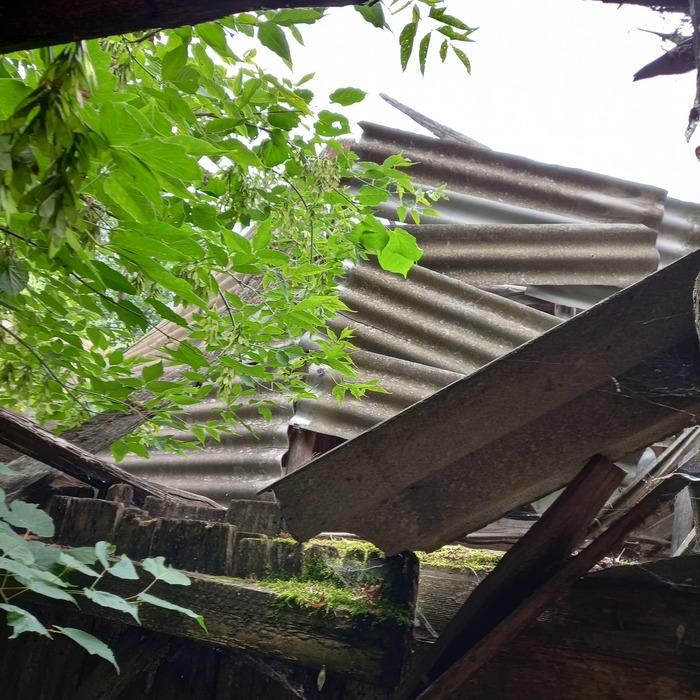 ,       .      -     (   ?)