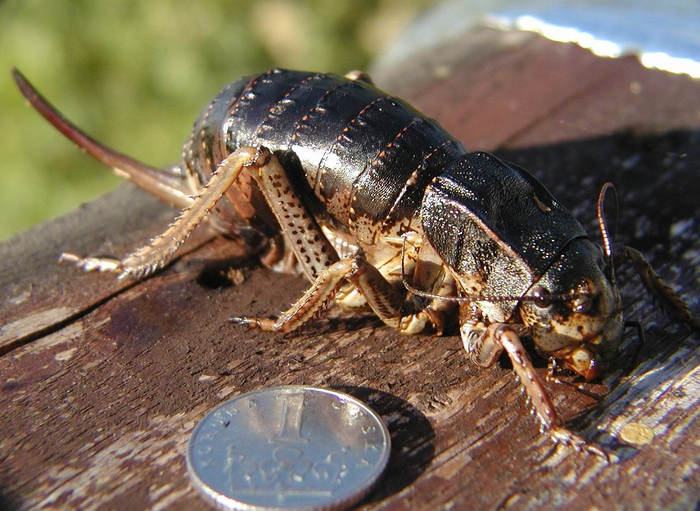           .          1959      2008.          :    .