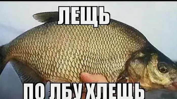 #�������