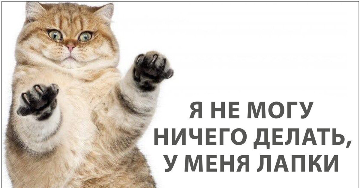 Смешные выражения. Что мне делать когда нечего делать. Как всегда ничего не делал. Прикольные картинки когда нечего делать. Как всегда ничего не делал.