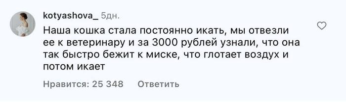 Пост супруги в инсте набрал больше 25 к лайков. Я не понимаю, это смешно?