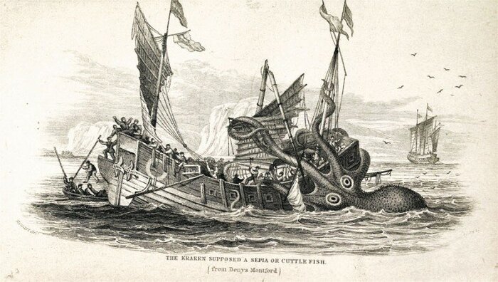 "Колоссальный пульп" из книги Дени де Монфора