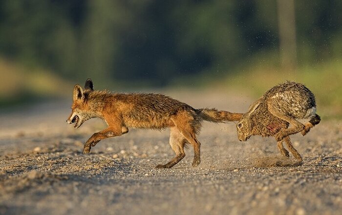 �������������, ����������, �� �����. ���� - �����!