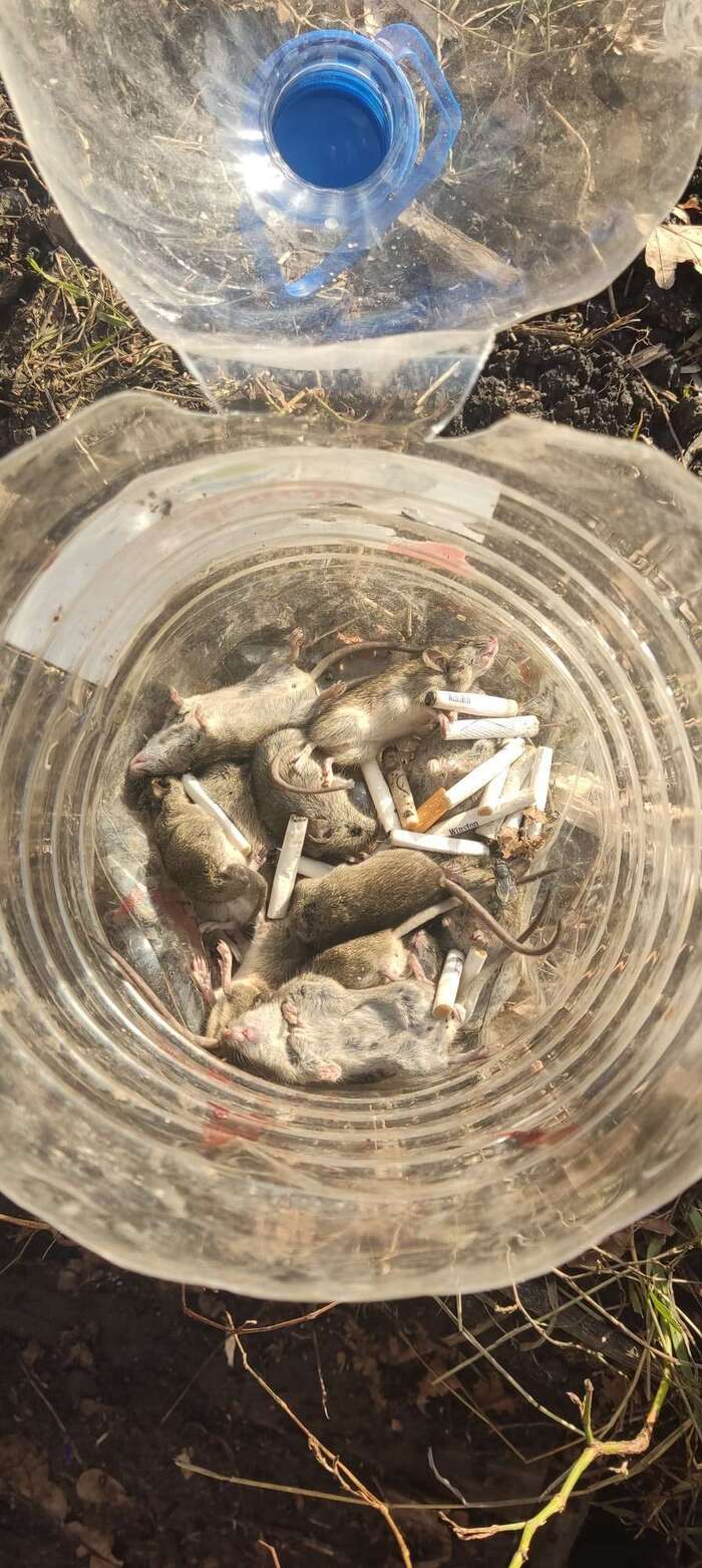 Курение убивает