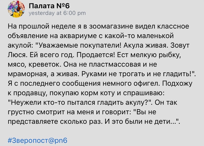 Бедная Люся