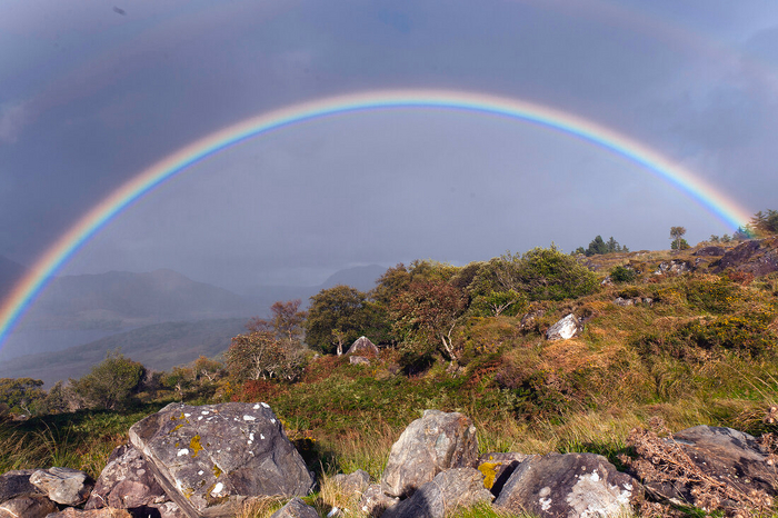 Rainbow