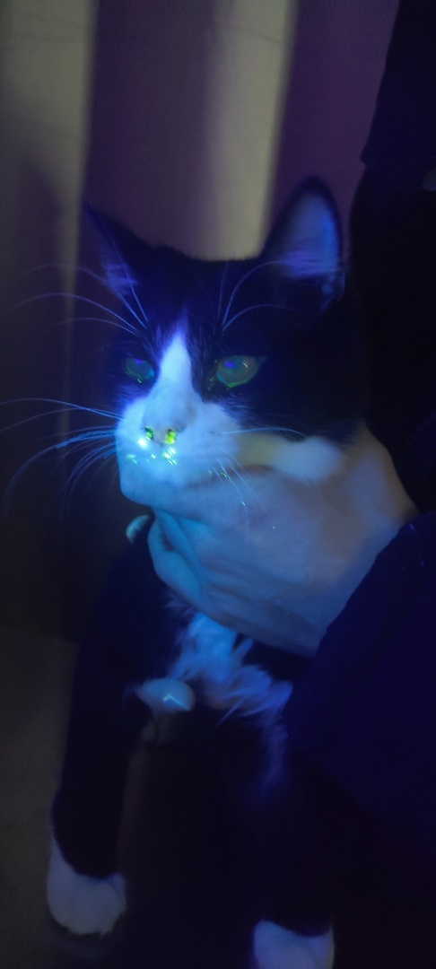 ����� ��� ��� ������������� ������ ����� � ����������� �������. 