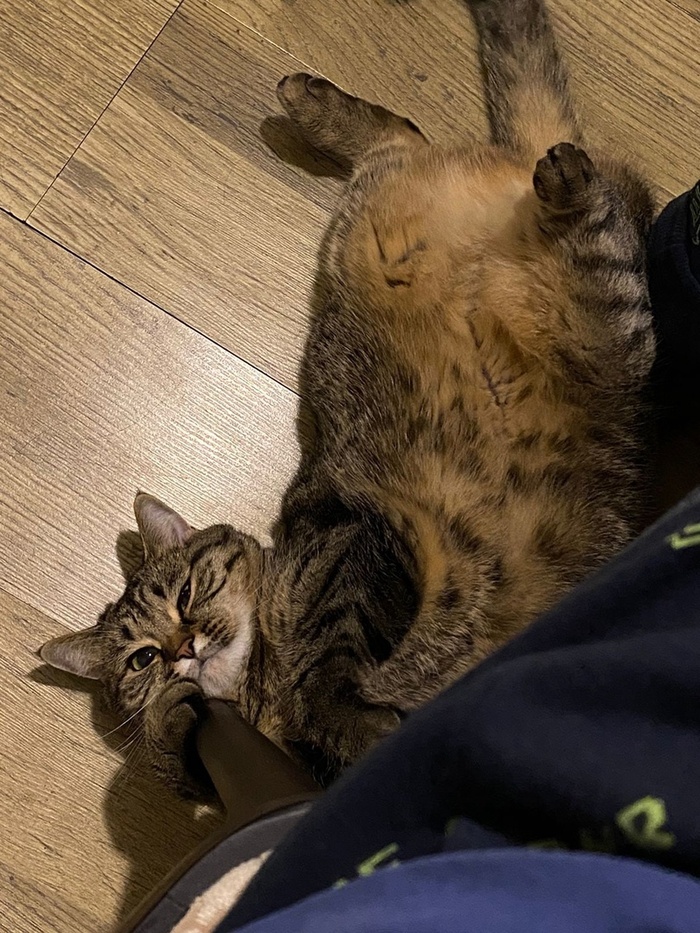 � ��� �������. ������ ��� ���������)) 