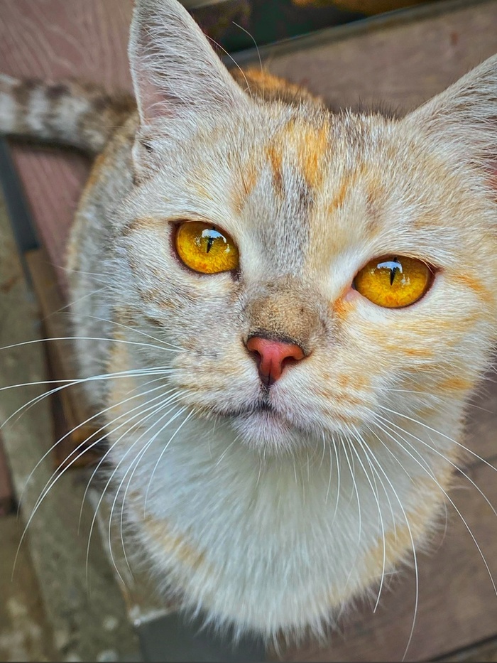 � ���������� ��� �������� ��� ����. ���� ���� ��������� �� ������� �����������. 