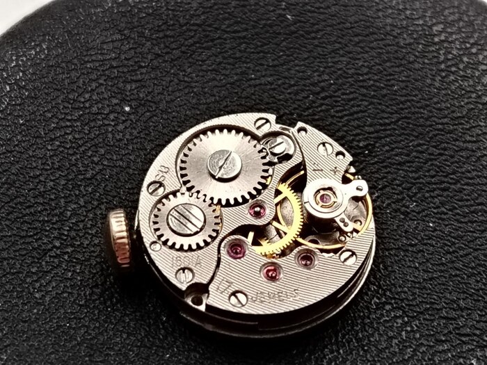 ����� � ������� �������� ������� ������� �������!