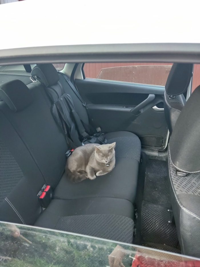 ������ ������� �� ������)))