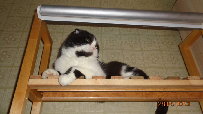        -  .         .  ,  ,   ,     2019.