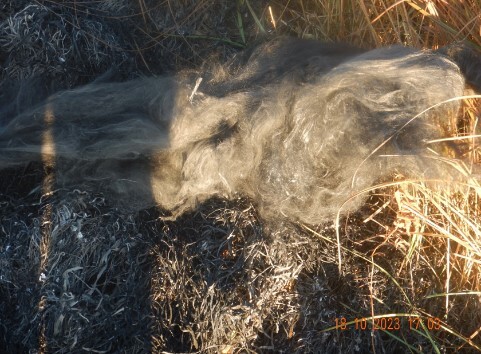 ����������� �������, ������� �������� �� ���������������� ������� ����� ���������� ����