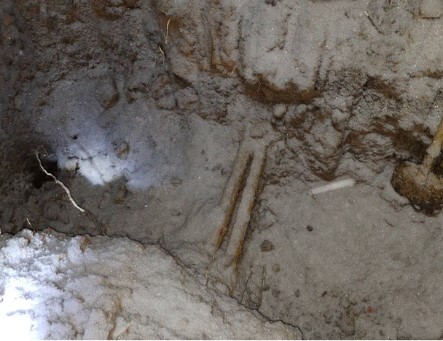 ����� ����������� ������