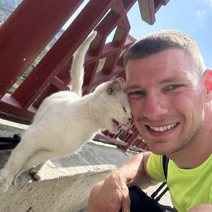 Тот самый кот