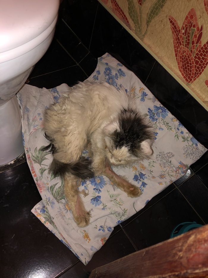 �������� � �������. ����� ����� ������� �� ����, ����� �� ��� ��������)))) 