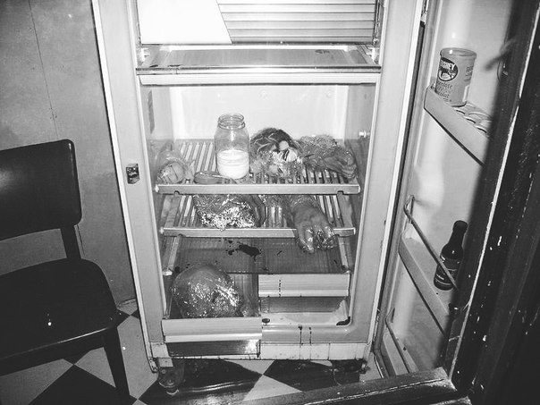 Примерный вид холодильника Дамера