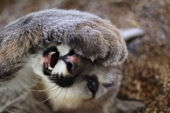 Завтра понедельник!