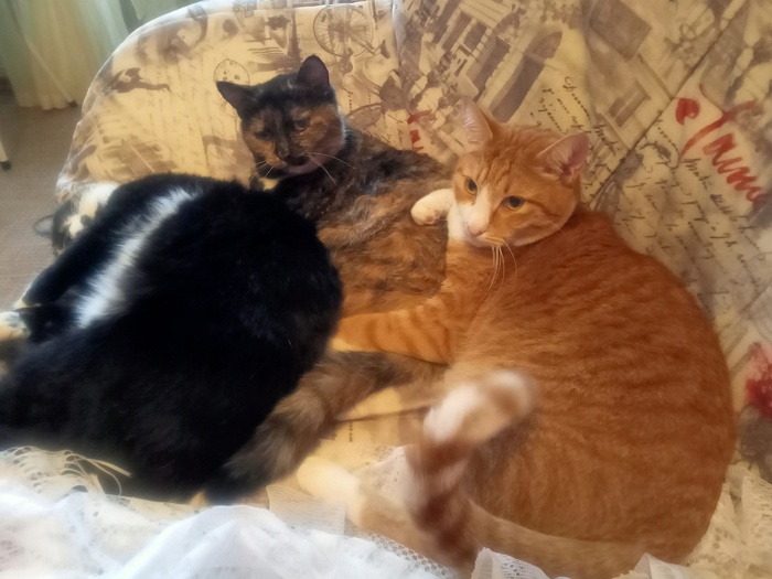   -  (18 ),  (13 )   (2 )