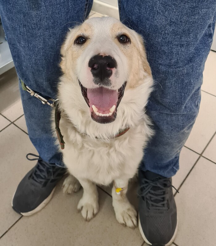 ����� �������, ��� ���� �����