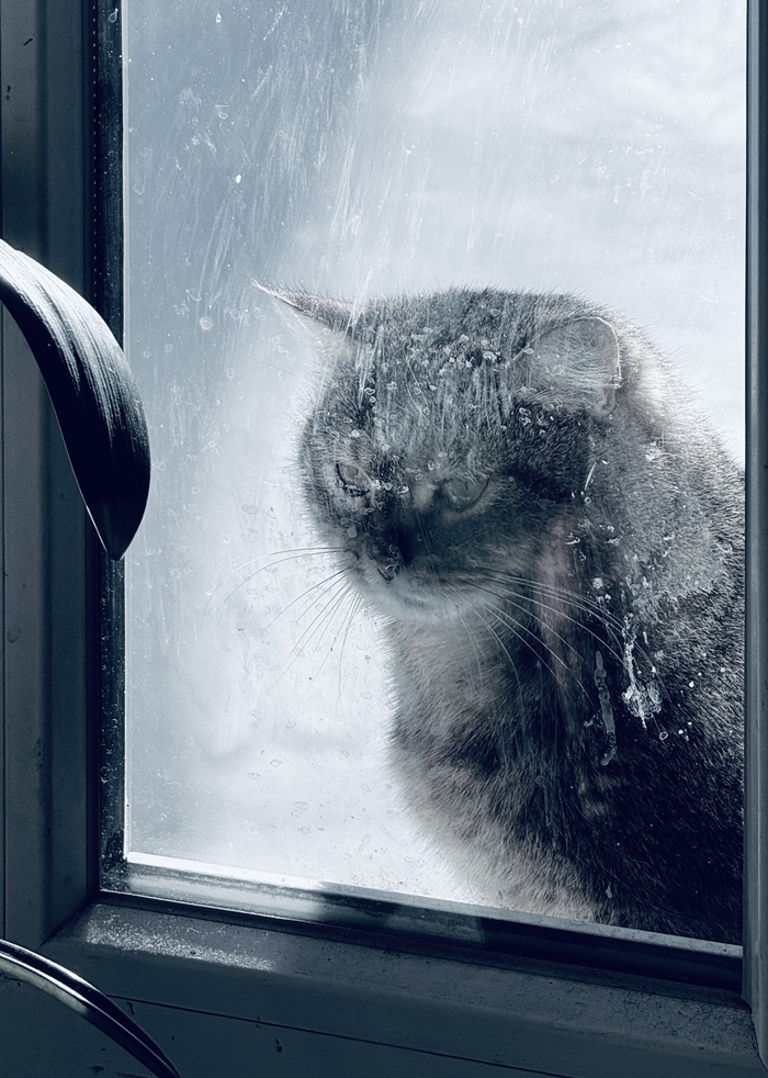 � � ��� �������� �� ��������?