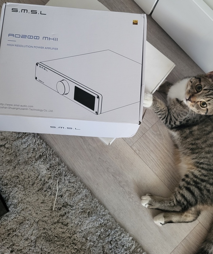 Выбор источника звука для Fostex T40RP Mk3. Борьба за звук. Часть 2