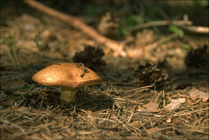 � �������� ���� �������, �� ��� � ������ ����� � � ������ �����=)