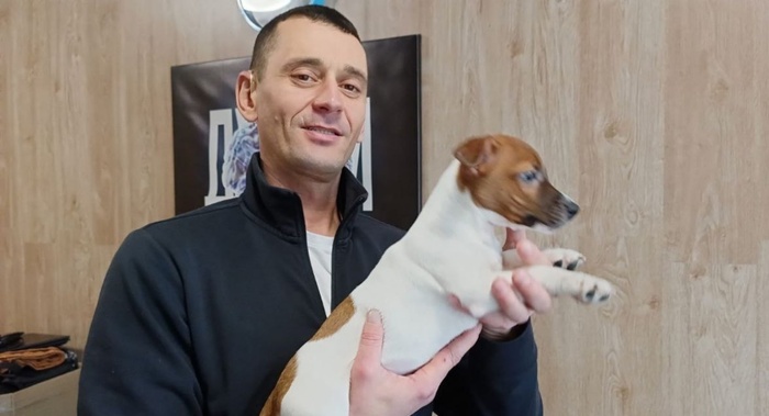 ���� 3 ������)