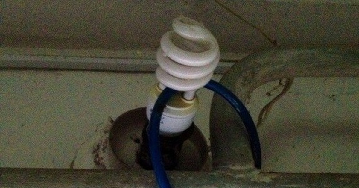 Воруют лампочки в подъезде объявления. Защита лампочки от воровства. Лампочка в доме. Объявление о воровстве лампочек в подъезде. Воруют лампочку.