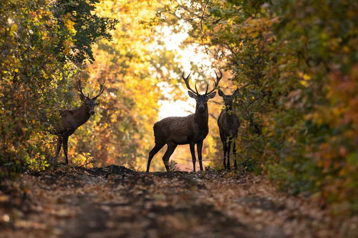 ����� � ����� ������������ �����