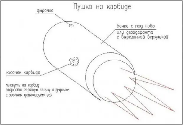 Костика Брадатан: Умирая за идеи. Об опасной жизни философов