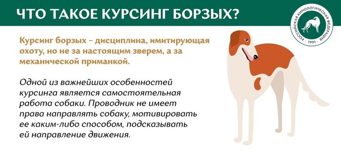 :     , , , , , , ,  , ,   ()