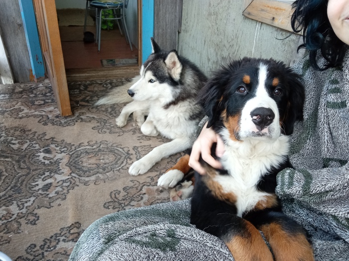 Сентябрь 2021 (4 месяца)