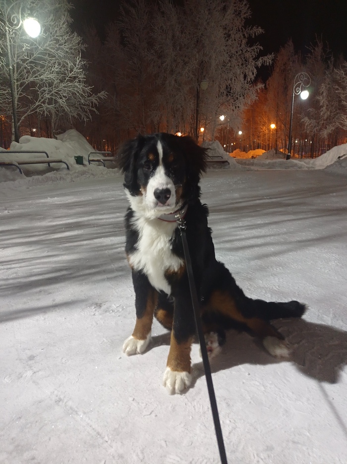 Декабрь 2021 (7 месяцев)