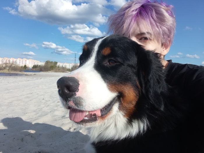 Май 2022 (12 месяцев)