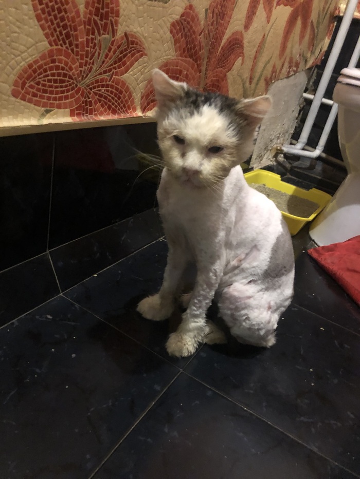 ���-����� ����� ��� ���� 😂