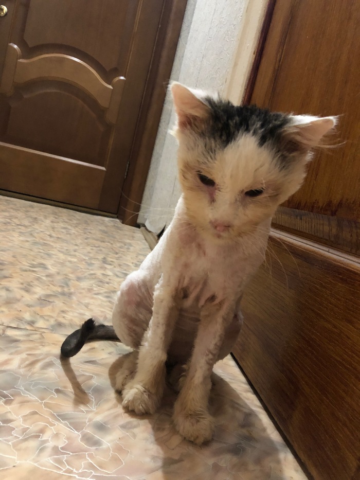 �������� ���������� ��������