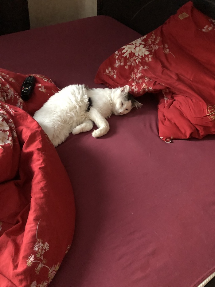 ����� ���� � �� ������