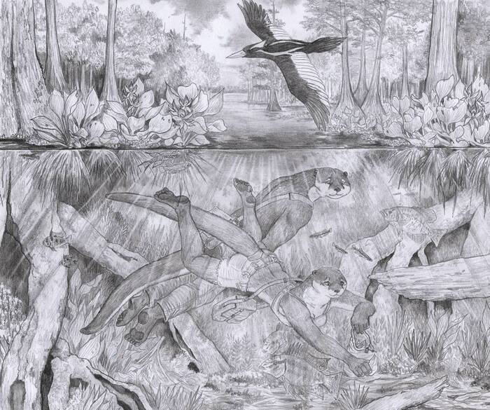 <a href="https://pikabu.ru/story/na_vode_i_pod_vodoy_11173491?u=https%3A%2F%2Fwww.deviantart.com%2Fzaphkiellane%2Fart%2FIvory-bill-over-the-face-of-the-waters-620260369&t=Ivory%20bill%20over%20the%20face%20of%20the%20waters&h=29e08e72ce51e48d5d6677c9684eebcfd3f10d49" title="https://www.deviantart.com/zaphkiellane/art/Ivory-bill-over-the-face-of-the-waters-620260369" target="_blank" rel="nofollow noopener">Ivory bill over the face of the waters</a>